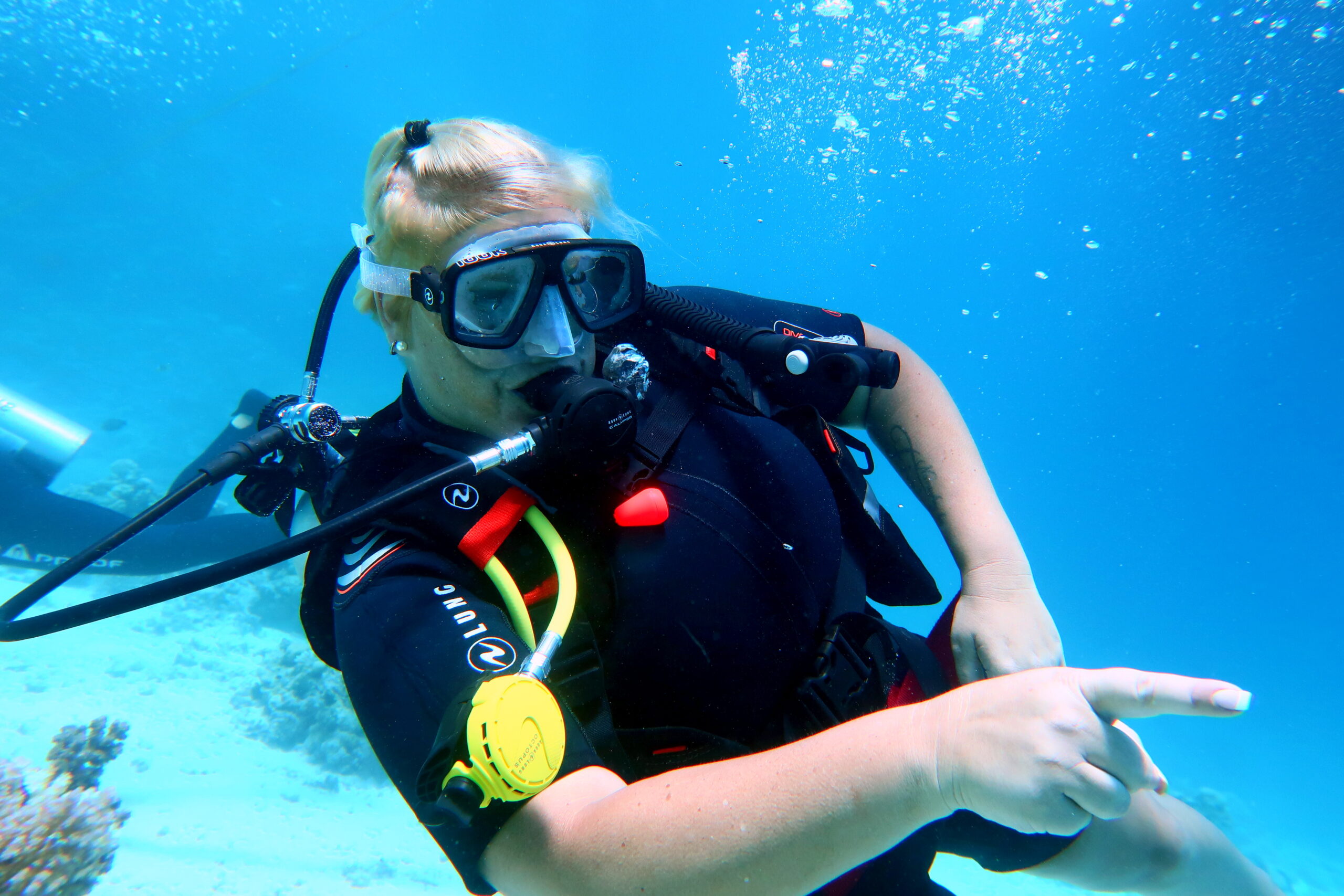 CMAS (P1) One-Star Diver course