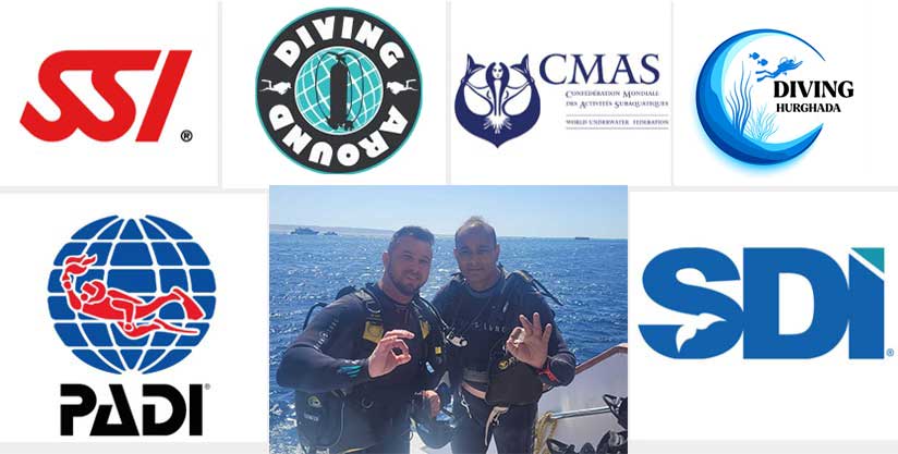 Diving organizations in hurghada egypt