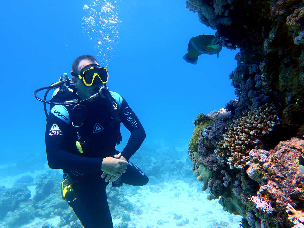 How To Become Scuba Diver Certified In Hurghada Ultimate Guide
