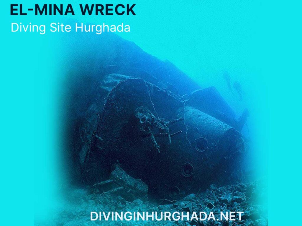 El-Mina diving Hurghada