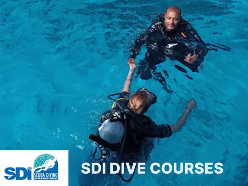 SDI Dive Courses