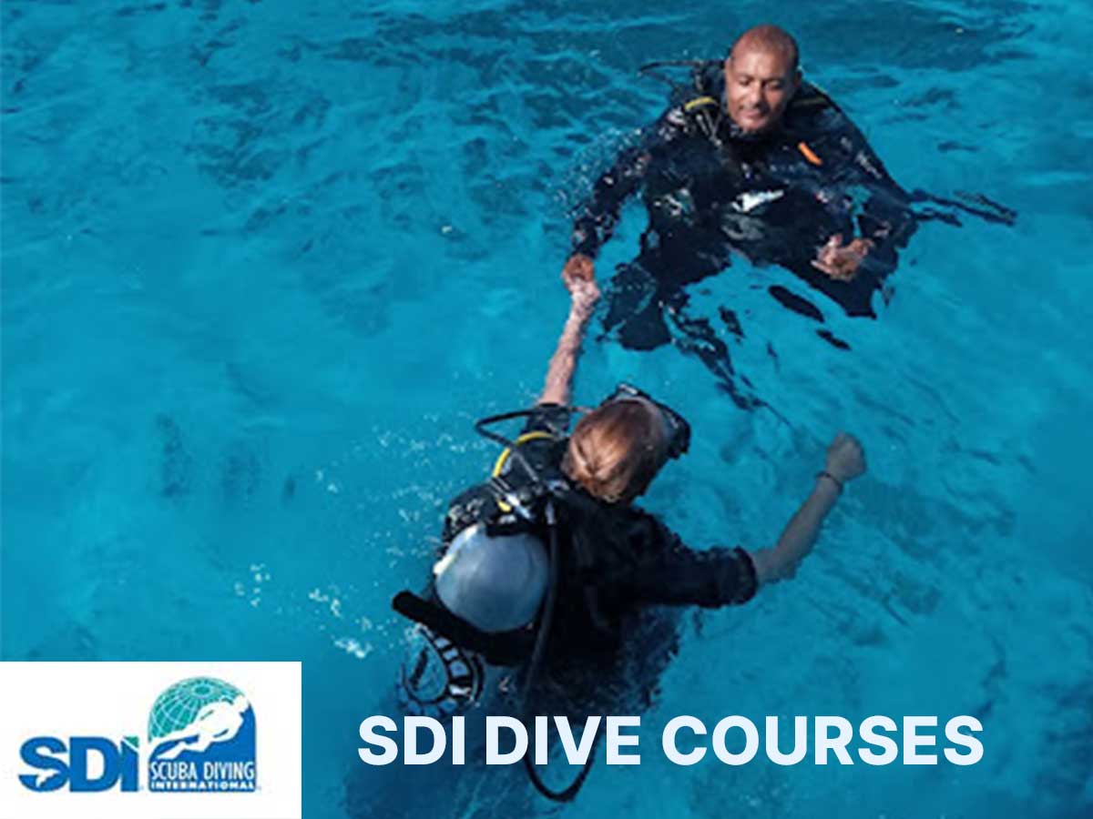 SDI Dive Courses