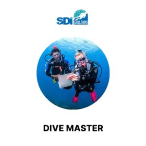 SDI Divemaster Course SDI Dive Courses