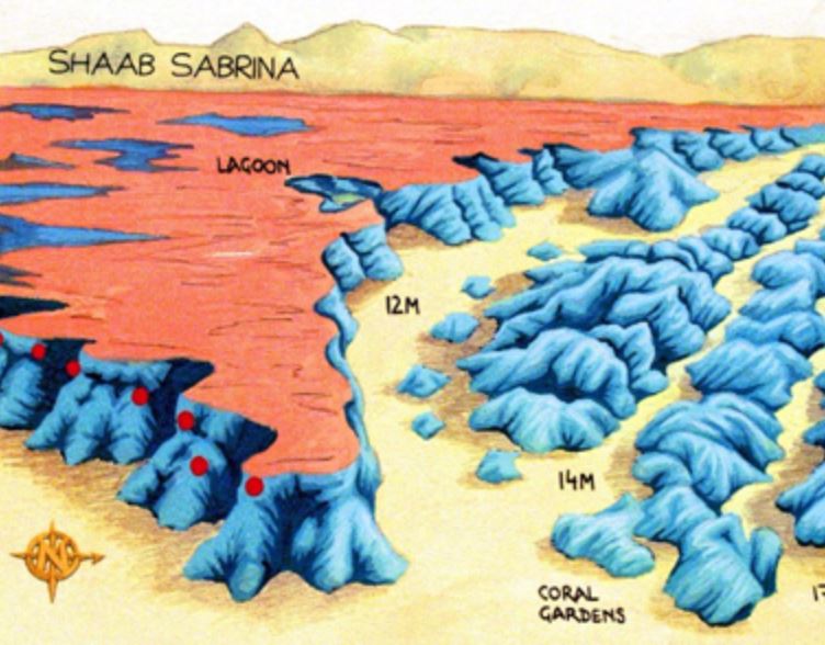 Shaab-Sabina Dive site