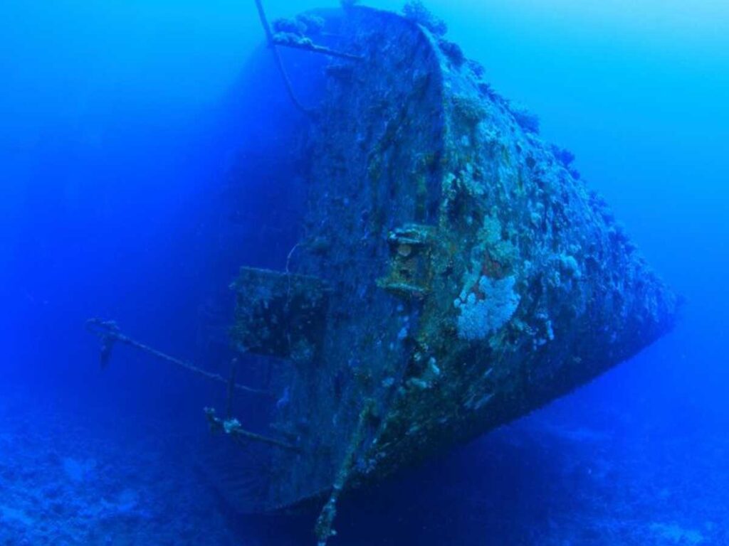 Wreck Dive