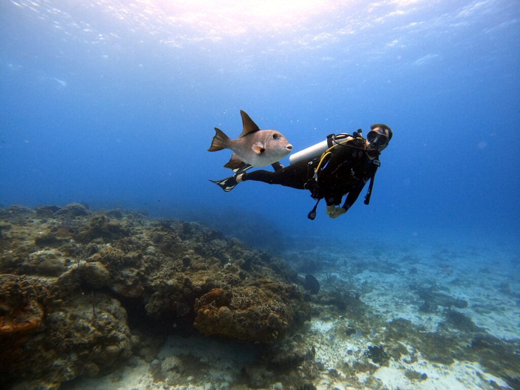 Hurghada Diving 2024