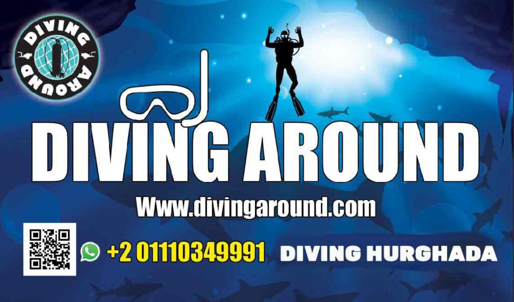 diving around