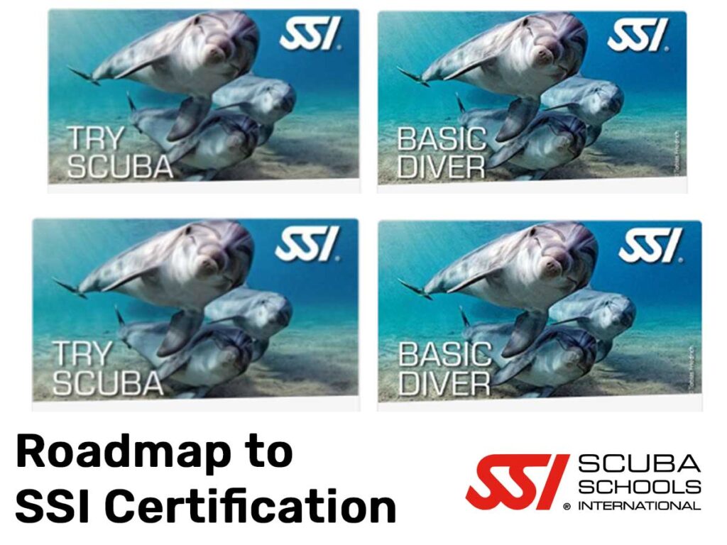  Roadmap to SSI Certification